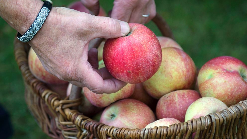 Äpple