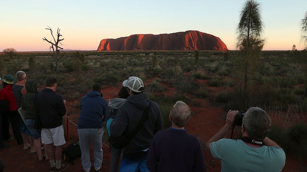 Klippan Uluru i Australien fotograferas i soluppgången.