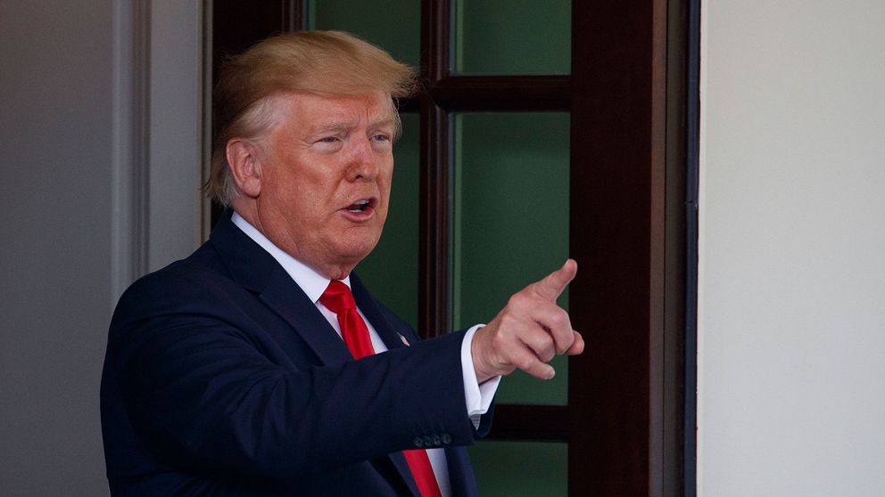 USA:s president Donald Trump när han anländer till Vita huset i Washington den 18 juli 2019.