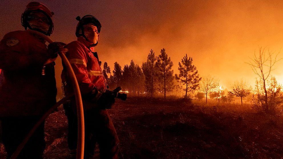 Brandmän kämpar mot lågorna nära byn Cardigos i centrala Portugal 21 juli.