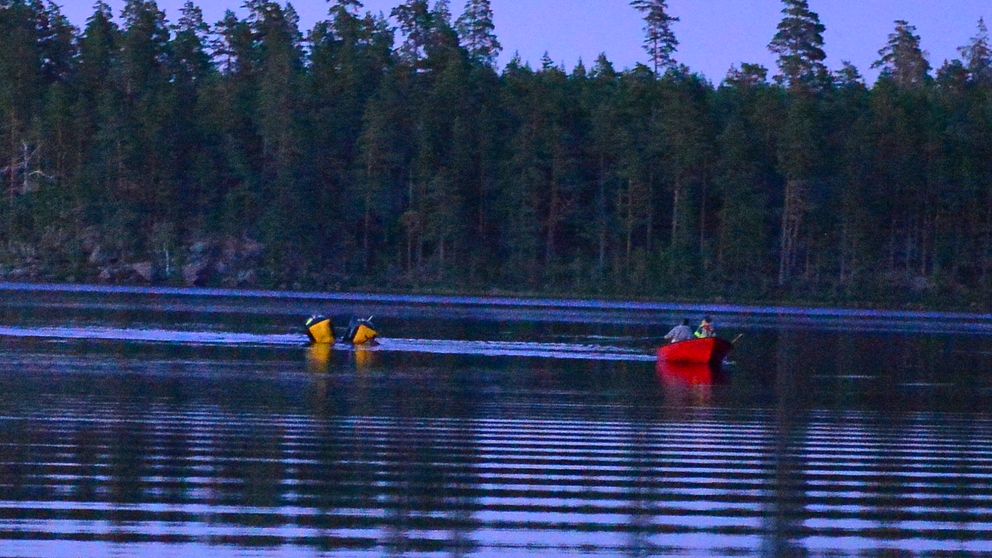 På bilden ser man en röd båt i en sjö och bakom den ligger en häst i vattnet med stora gula luftkuddar runt sig. Man ser nästan ingenting av hästen.