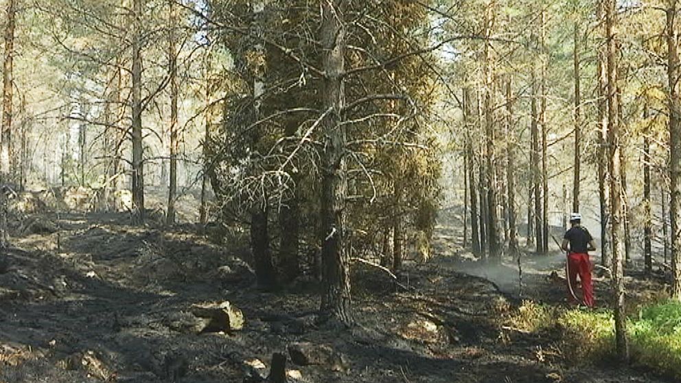 Brandhärjat område i Knöstad