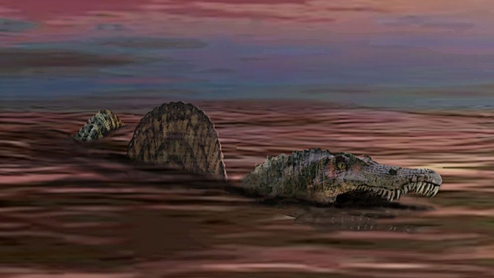 Spinosaurus som den tros ha sett ut när den simmade i vatten.