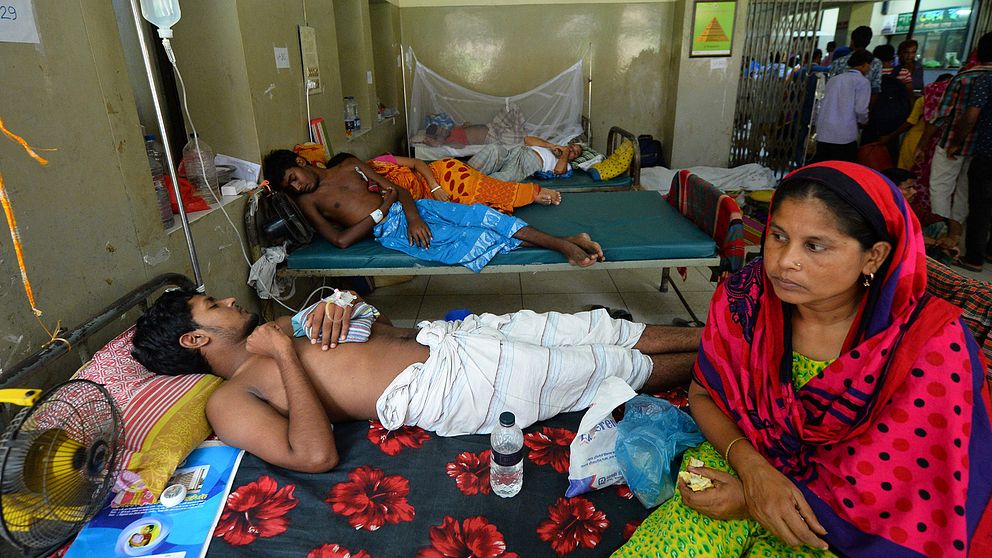 Invånarna i Bangladesh som får behandling mot denguefeber vid Shaheed Suhrawardy universitetssjukhus.
