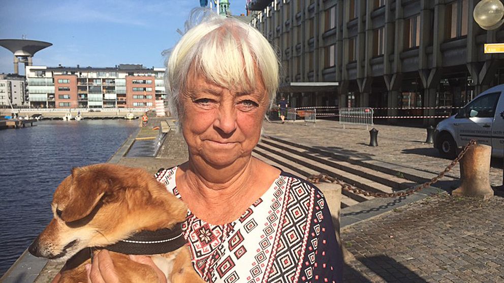Birgitta Nilsson-Wall och hunden Alfred bor i närheten och tycker det är obehagligt att våld riktas mot just stadshuset.