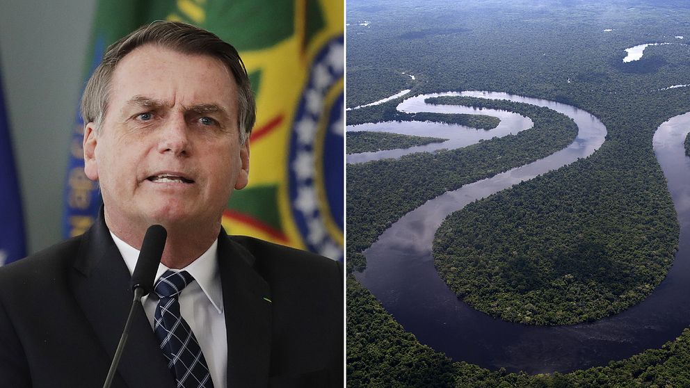 Bolsonaro och Amazonas