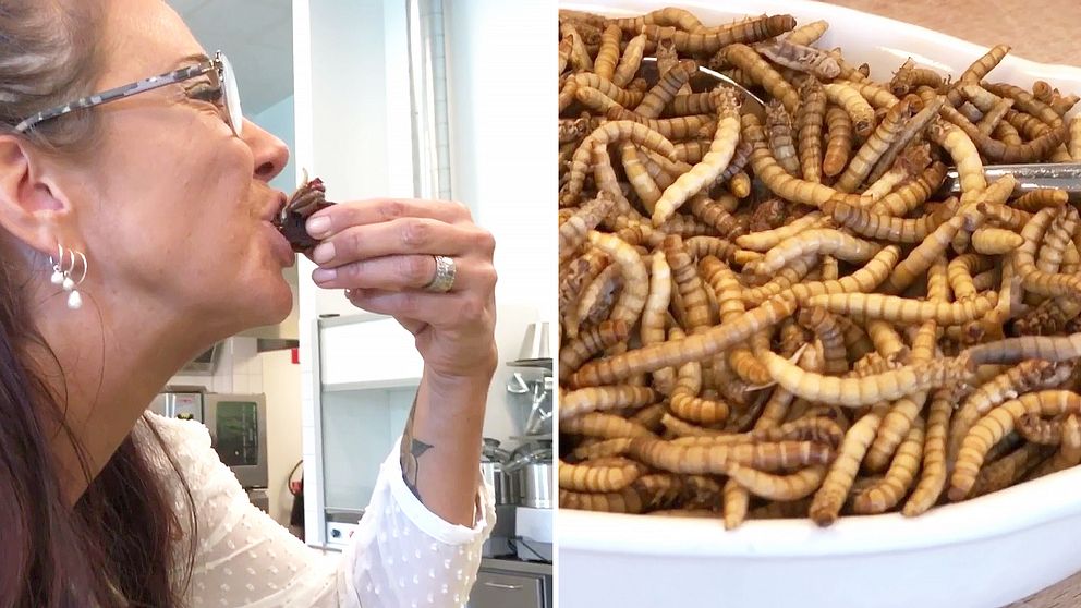 Snart kan det bli lagligt att köpa insekter som mat i butik även i Sverige. Forskarna försöker få det att se gott ut.