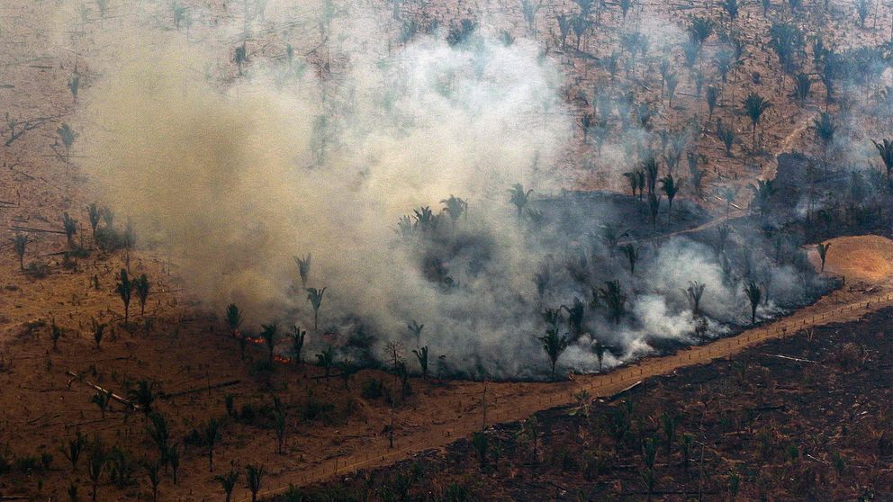 Rök stiger från en brand i Amazonas, Brasilien.