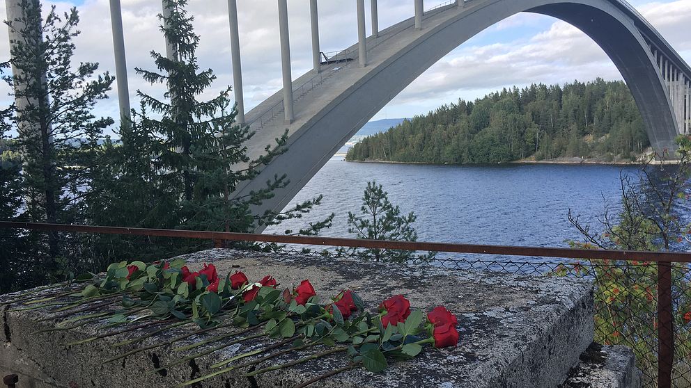 18 rosor vid Sandöbron