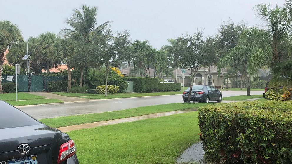 Där Viktoria Riley bor i West Palm Beach, Florida, väntas det regna konstant de kommande två, tre dagarna enligt väderleksrapporten, berättar hon.