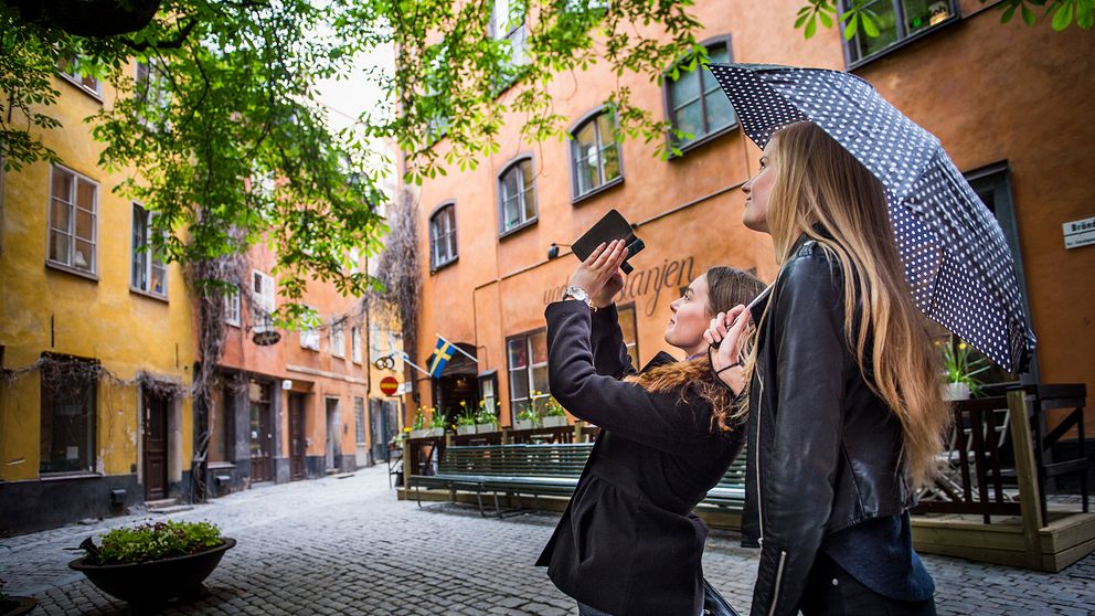 Två unga turister fotograferar en stor kastanj på Brända tomten i Gamla stan i Stockholm. Arkivbild.