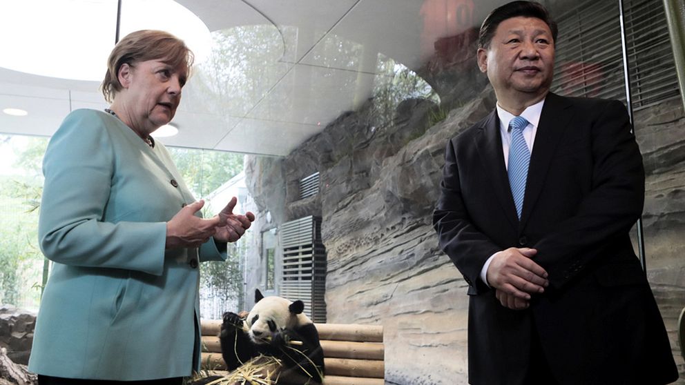 Pandor förhandlar man om på högsta politiska nivå. Förbundskansler Merkel och Kinas president Xi Jinping firar att Berlin Zoo fick hyra två pandor av Kina 2017.