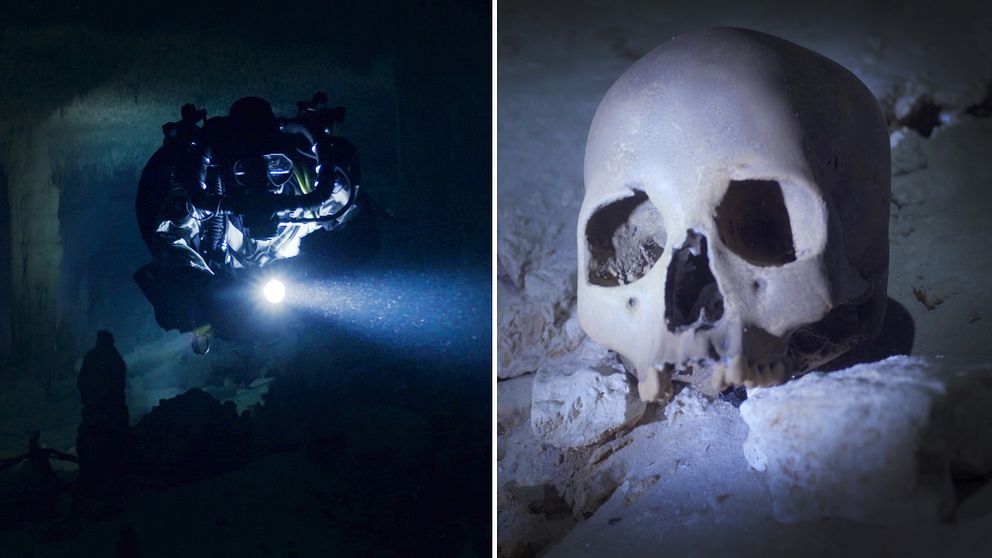 Två bilder varav den ena är på en dykare i en undervattensgrotta, den andra på dödskallen dykarna hittade i grottan.