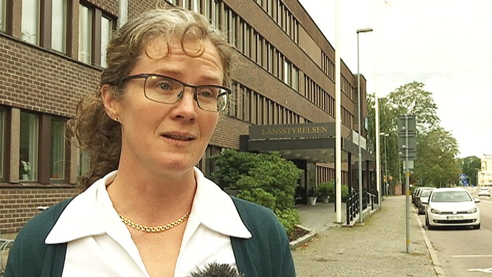 Länsveterinär Holly Cedervind tipsar om vad man kan tänka på som hundägare