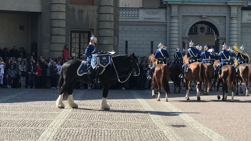 Hästar i vaktparaden på Slottsgården