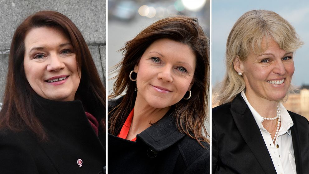 Ann Linde (S), Eva Nordmark (S) och Anna Hallberg presenterades som nya ministrar under riksdagsårets formella öppnande på tisdagen.