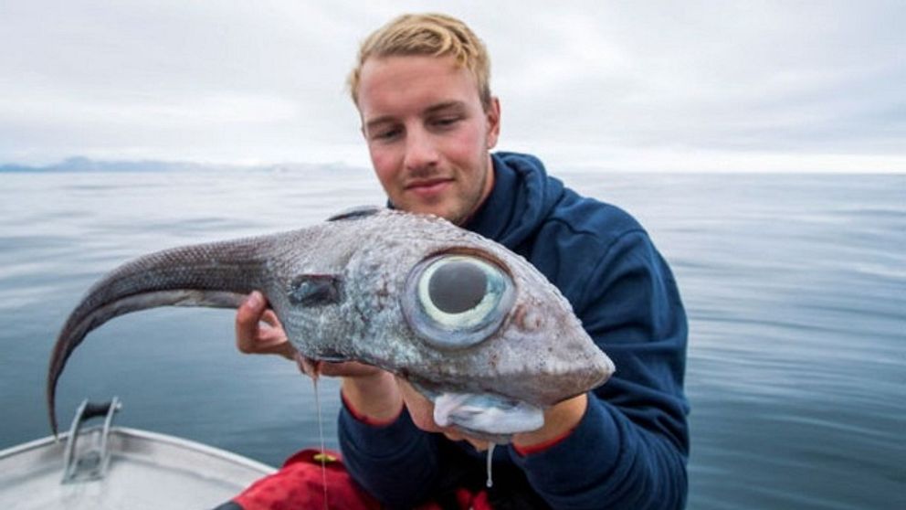 Oscar och hans kollega var på jakt efter hälleflundra när den här fisken var på hugget.