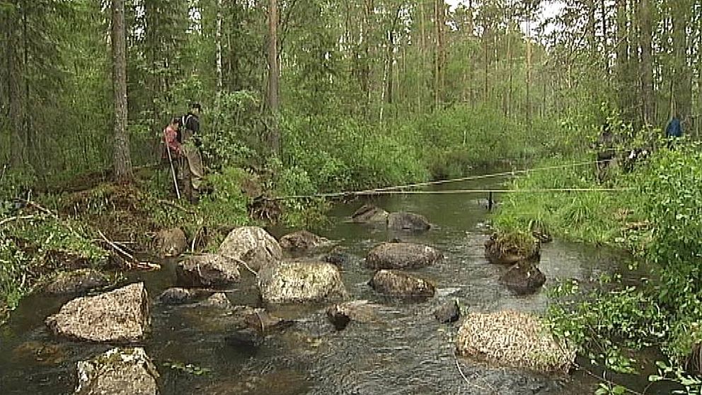 Stenar tas bort i ett vattendrag i Jämtland