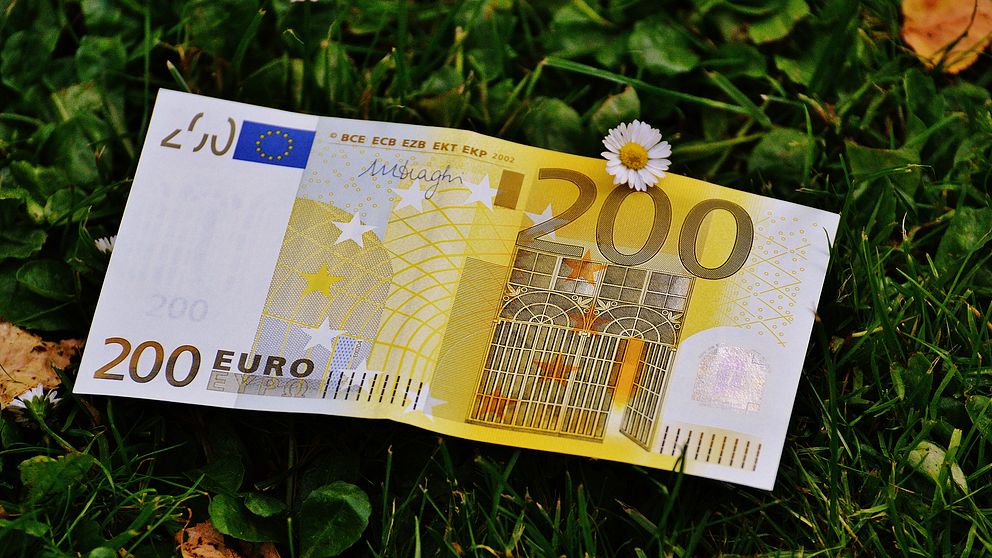 En eurosedel på en grön gräsmatta.