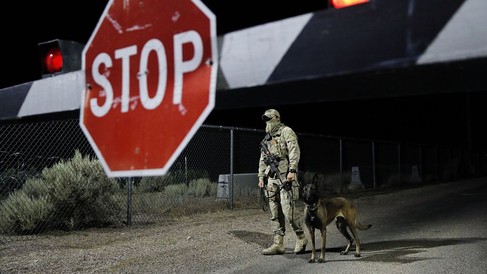 Beväpnad säkerhetsvakt med hund bakom en bom med stopptecken.