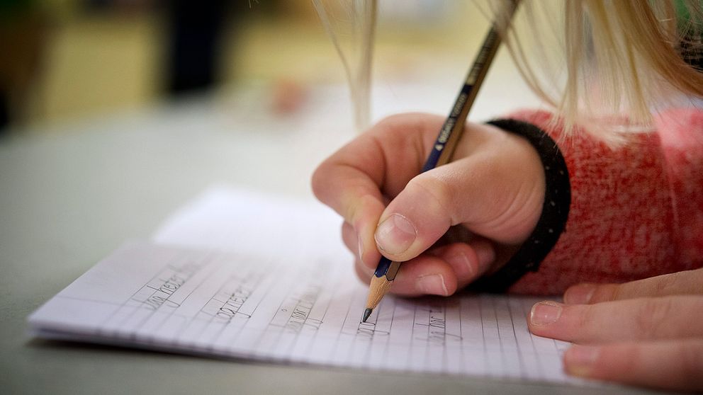 En elev på en skola som kommer att påverkas om det nya förslag om kursplaner från Skolverket går i genom i vår.