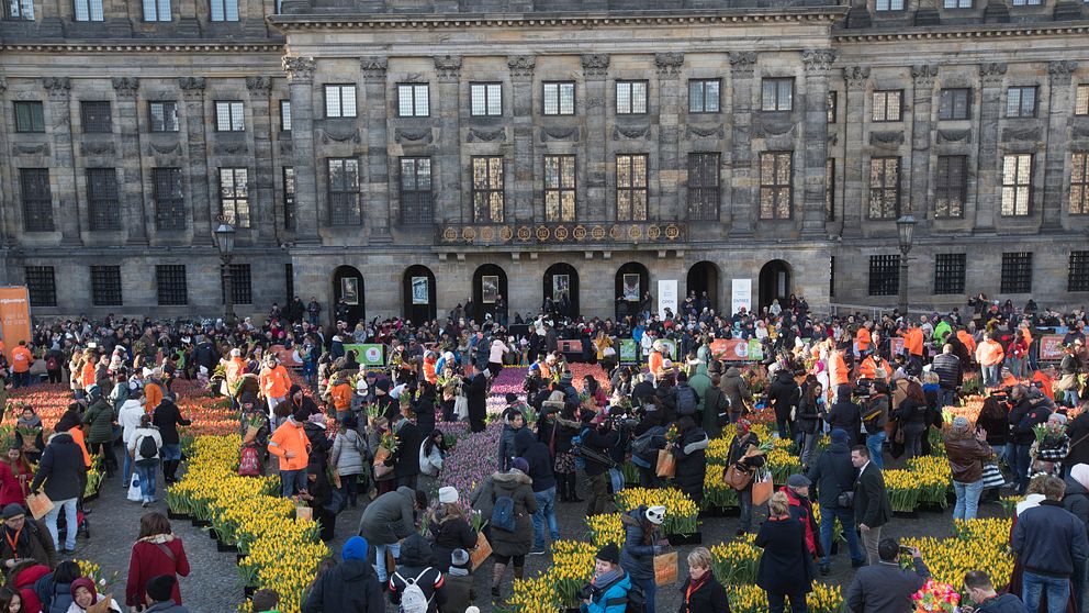 Människor på Tulpandagen i Amsterdam