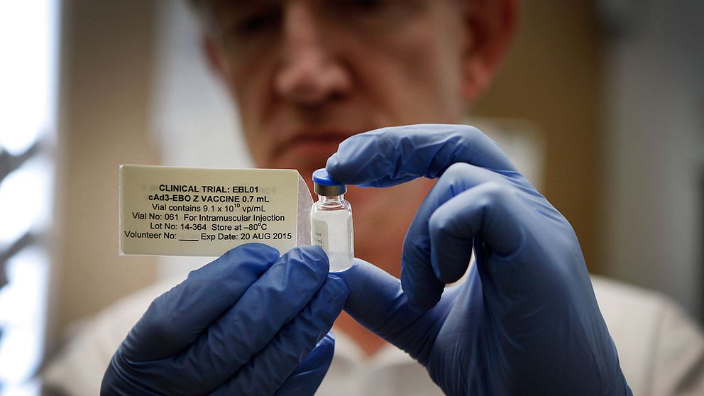 Experimentellt ebolavaccin från University of Marylands medicininstitution.