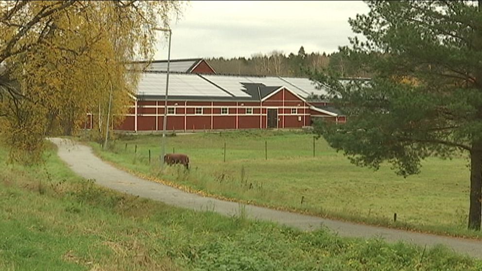 Kvinnerstagymnasiet höst