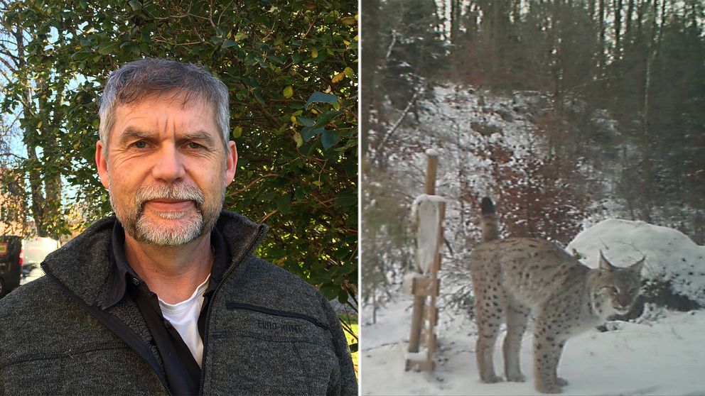 Martin Broberg, naturvårdshandläggare på Länsstyrelsen.