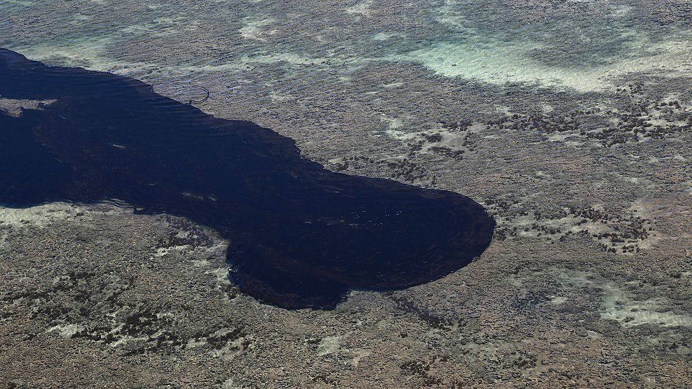 En del av oljeutsläppet som drabbade de brasilianska stränderna