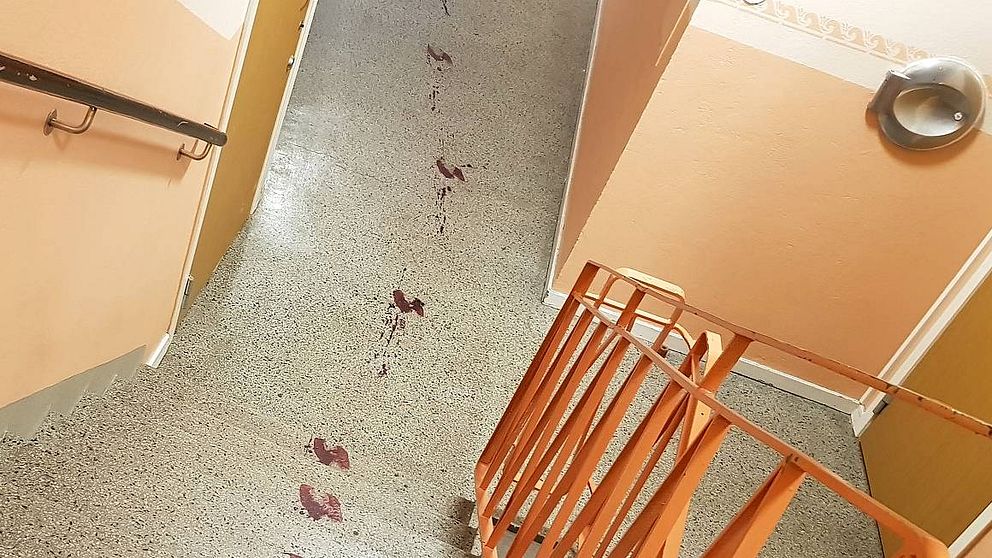 Blod i trappuppgång