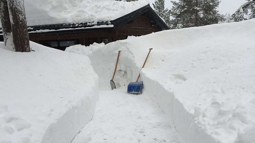 Gångvägen till kvinnans hus, här skottad dagen efter hennes död