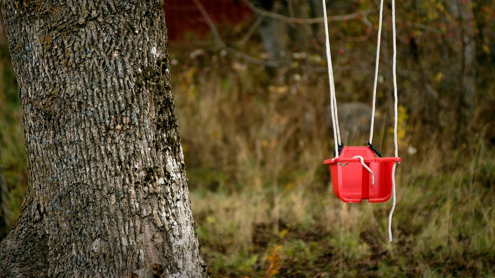 Anmälningarna om barn som misstänks fara illa blir allt fler, enligt kommunerna.