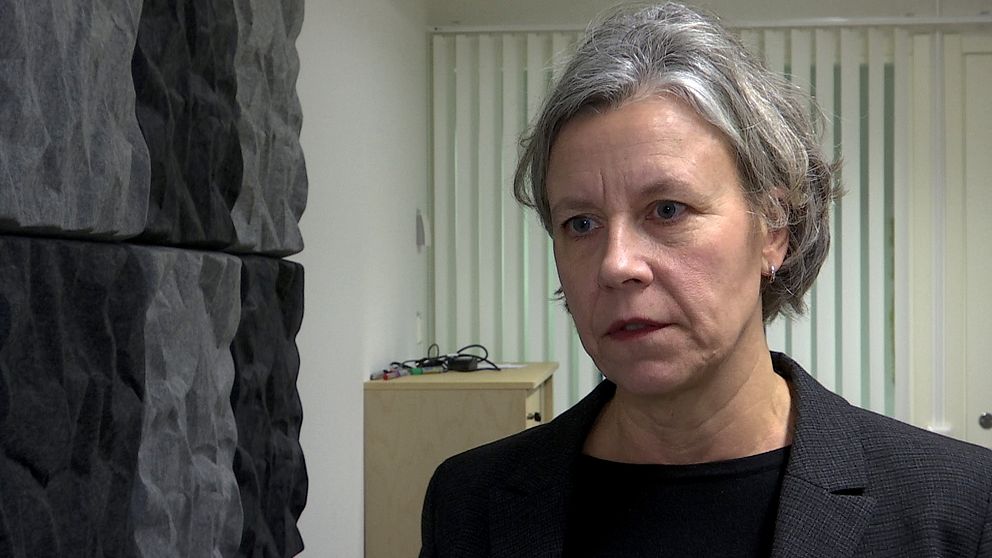 en kvinna med grått hår iklädd kavaj intervjuas av SVT:s reporter