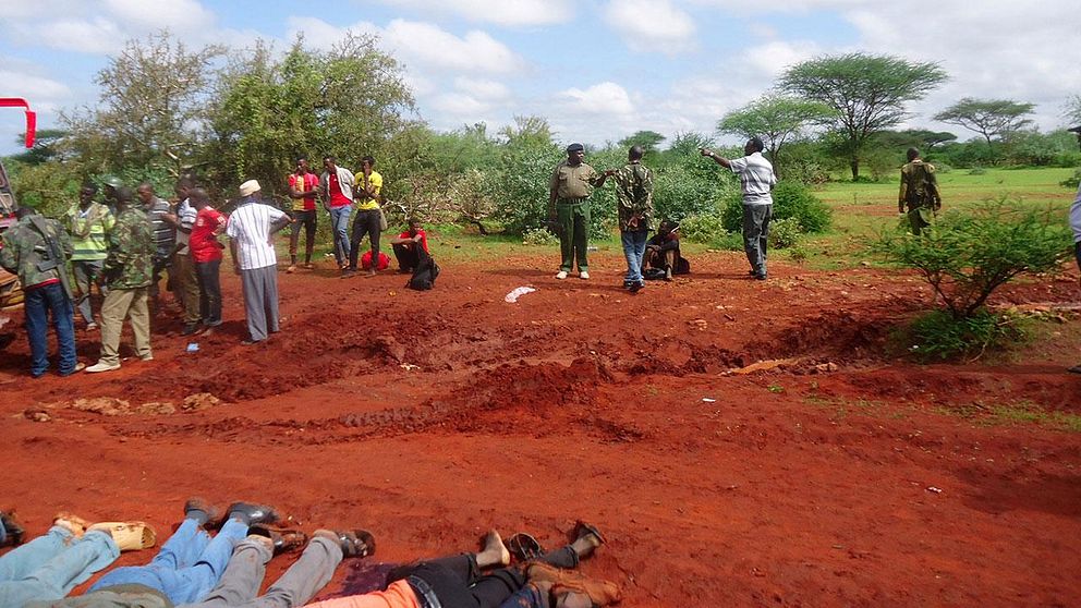 Beväpnade män mördade 28 busspassagerare i norra Kenya nära gränsen till Somalia.