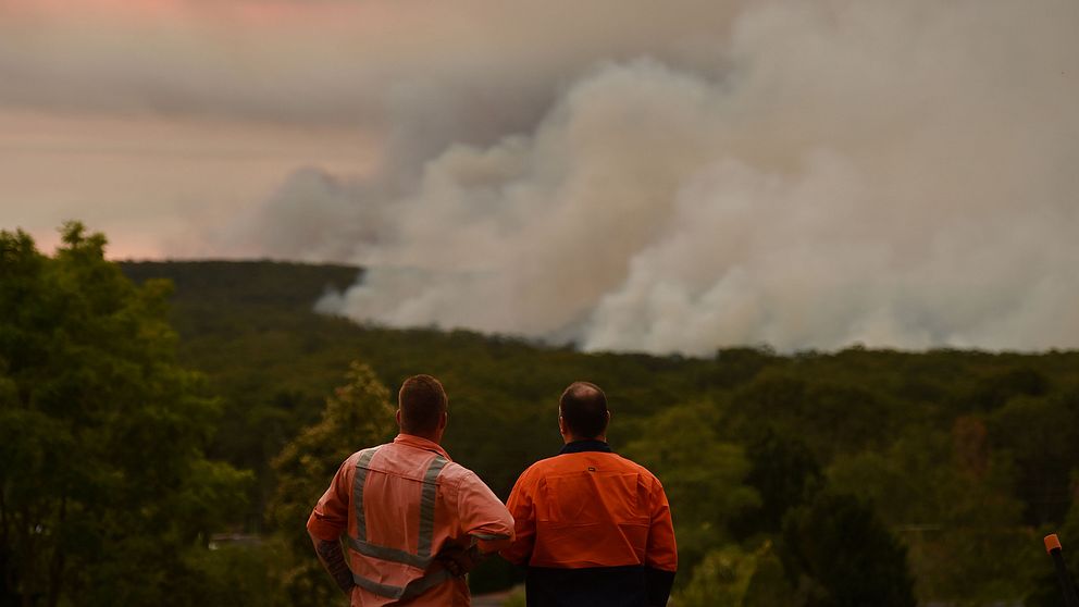 Två brandmän i Australien står på en höjd och blickar över en stor skogsbrand.