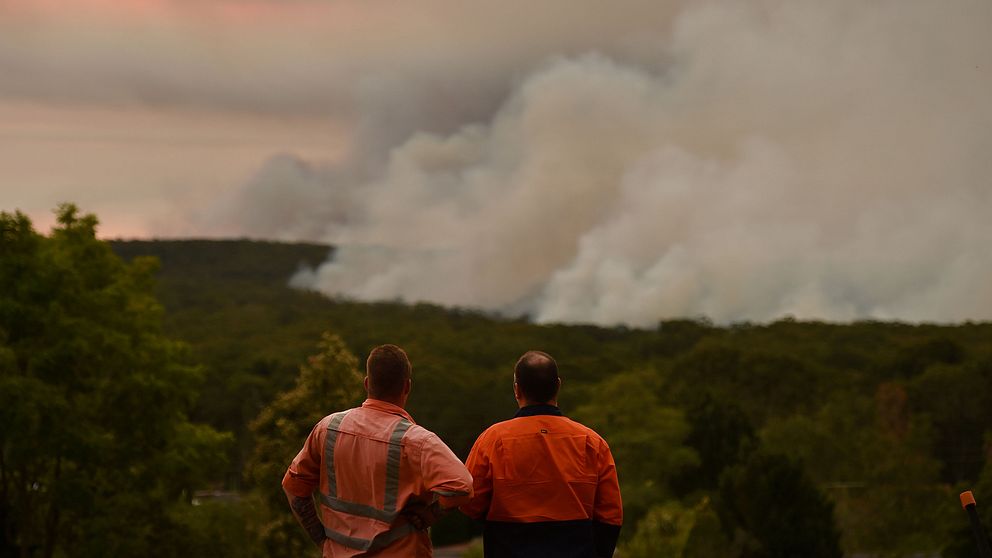 Två brandmän i Australien står på en höjd och blickar över en stor skogsbrand.