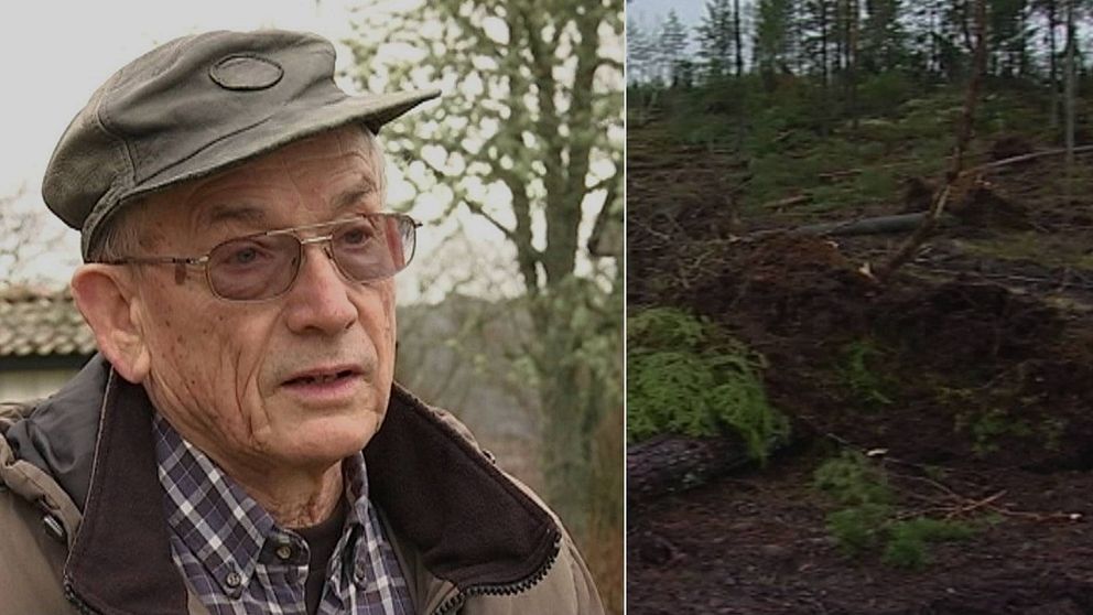 Lars om stormen Gudrun: ”Det värsta vi har upplevt” | SVT Nyheter