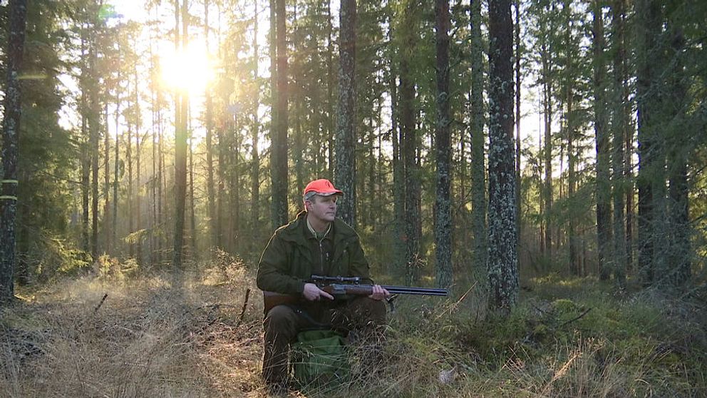 Jägareförbundets ordförande i Värmland Anders Olsson är besviken på att Norge stoppade den planerade jakten på varg i ett gränsrevir.