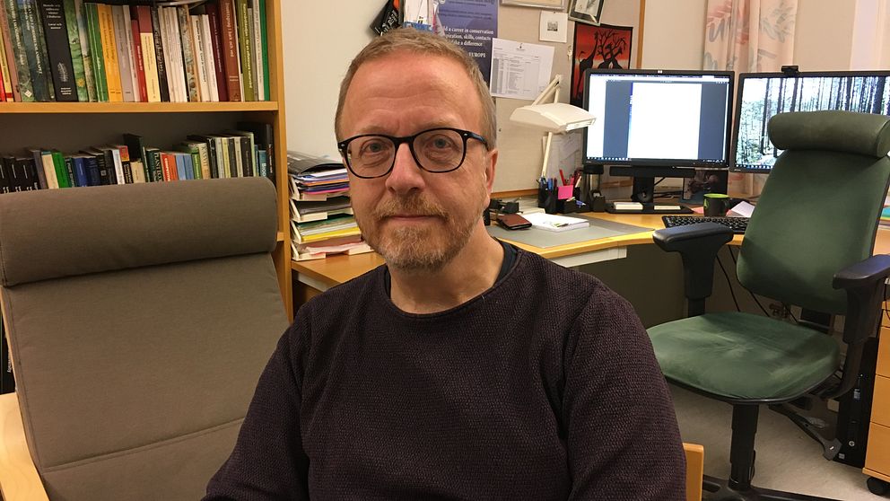 Bengt Gunnar Jonsson, professor i biologi på Mittuniversitetet