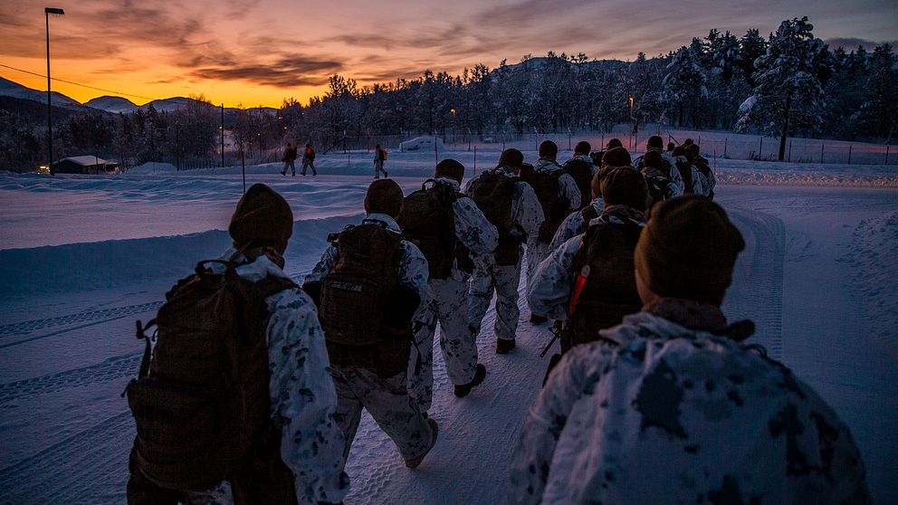 Amerikanska marinkårssoldater i Setermoen i Norge 4 november 2019.