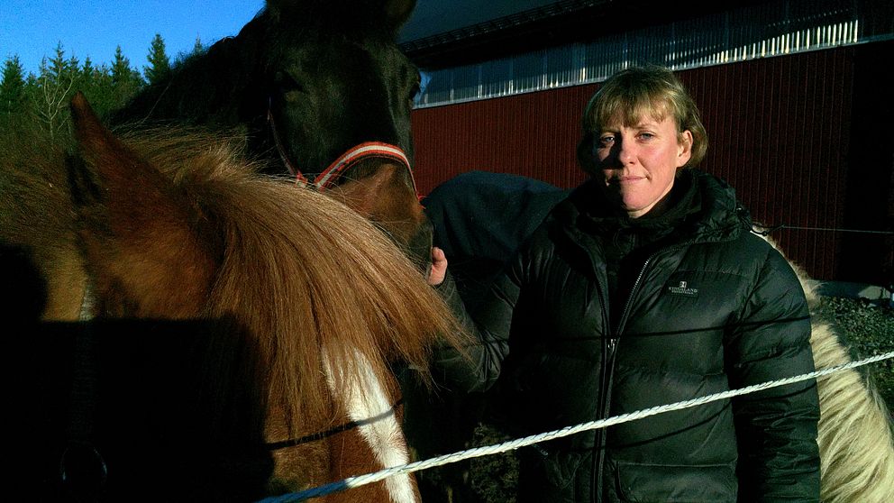 Kvinna står intill två hästar