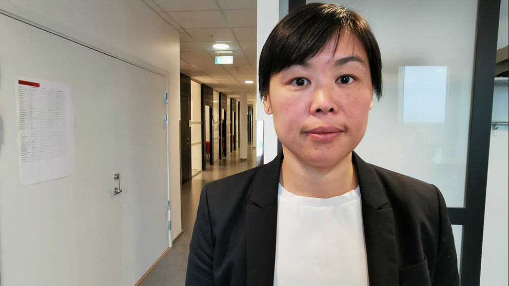 Christine Chi, kammaråklagare