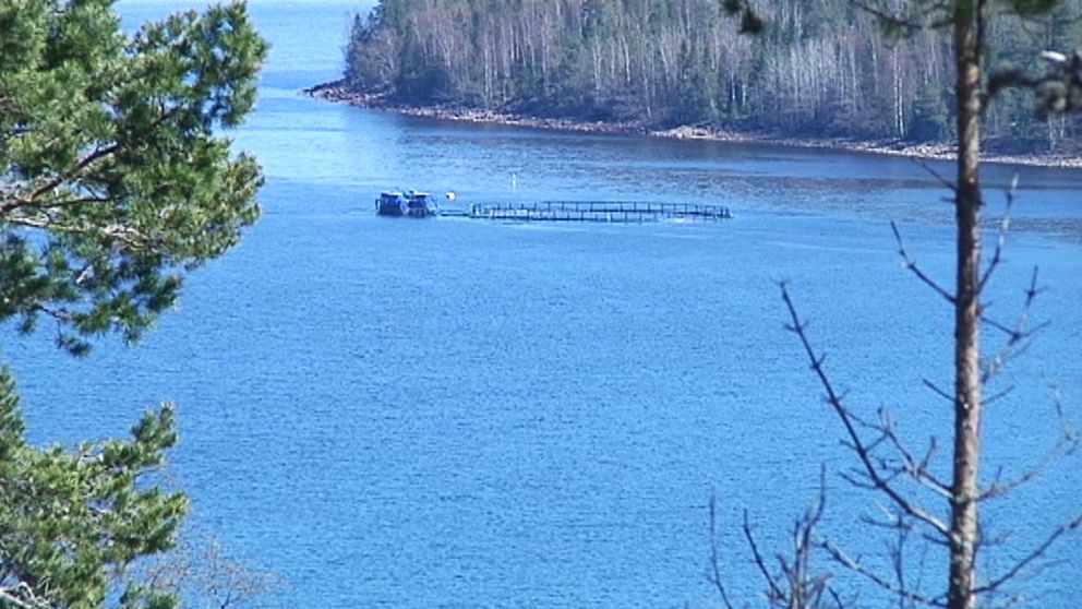 Vy från berg ner mot Mjältösundet där det finns en rund odlingskasse för fisk.