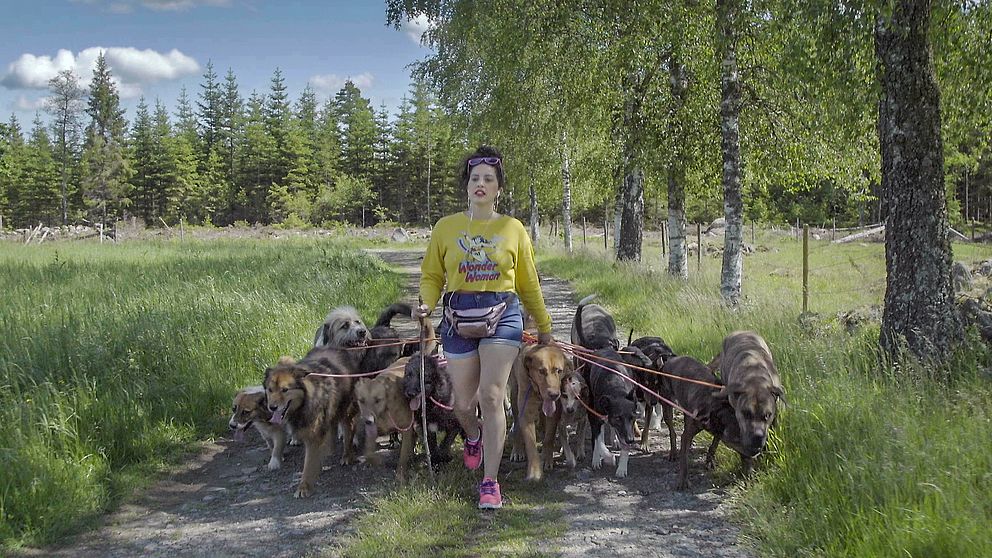 Alexandra Ortega har 30 egna hundar. Bild på när hon är ute och går med hundarna.