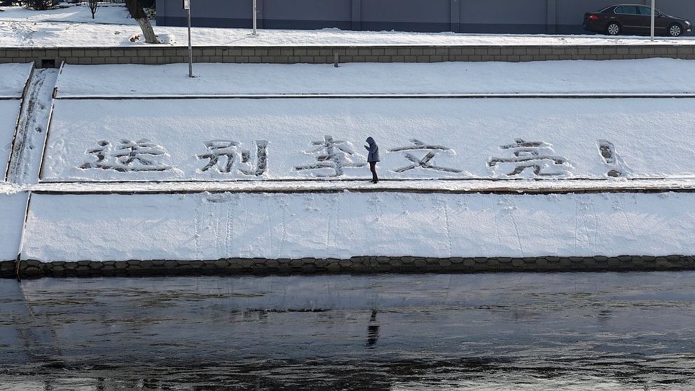 En person har skrivt ”farväl Li Wenliang” i snön, en blid som under fredagen cirkulerat på kinesiska chattforumet WeChat, enligt BBC.