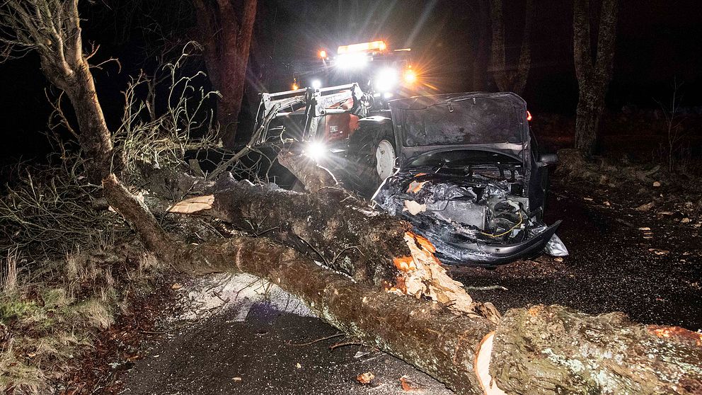 En personbil körde under söndagen in i ett stormfällt träd utanför Kristianstad.