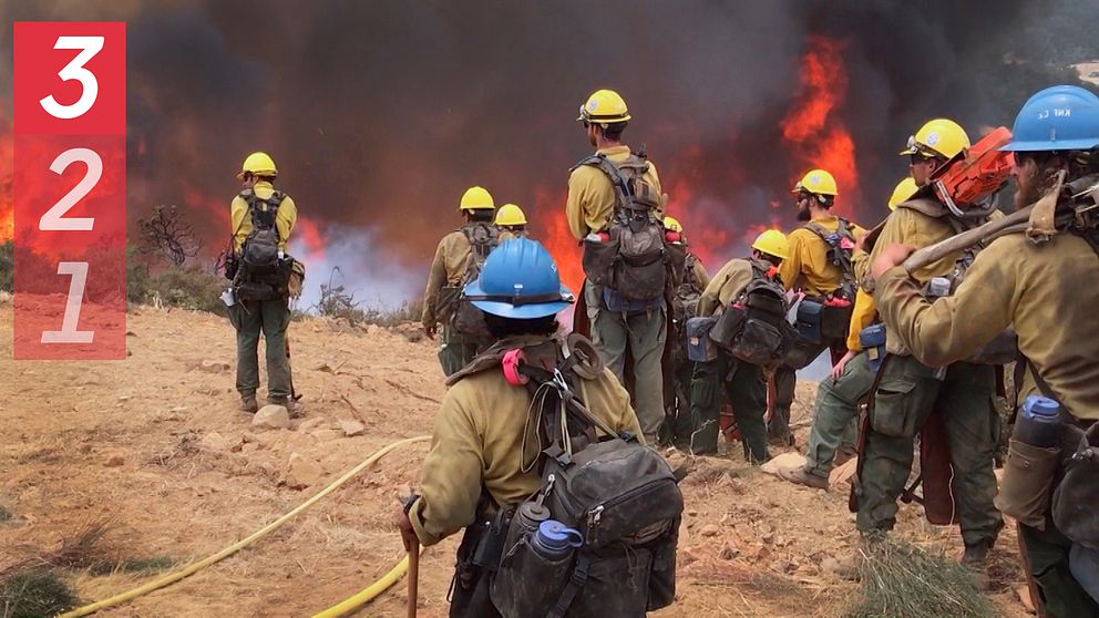 En grupp brandmän i Kalifornien som tittar på en grässlänt som brinner.