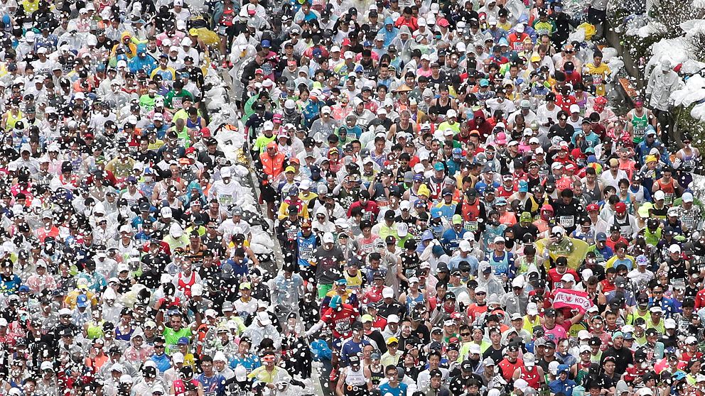 I fjol sprang runt 38 000 löpare Tokyo Marathon. I år blir det betydligt färre.