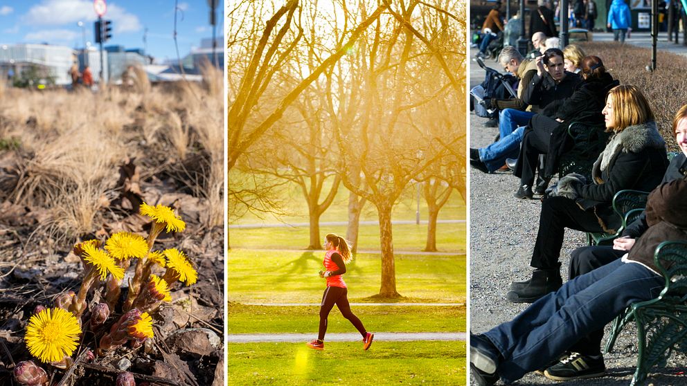 Kollage över vårtecken, som tussilago, joggande kvinna i park och människor som solar på bänkar.